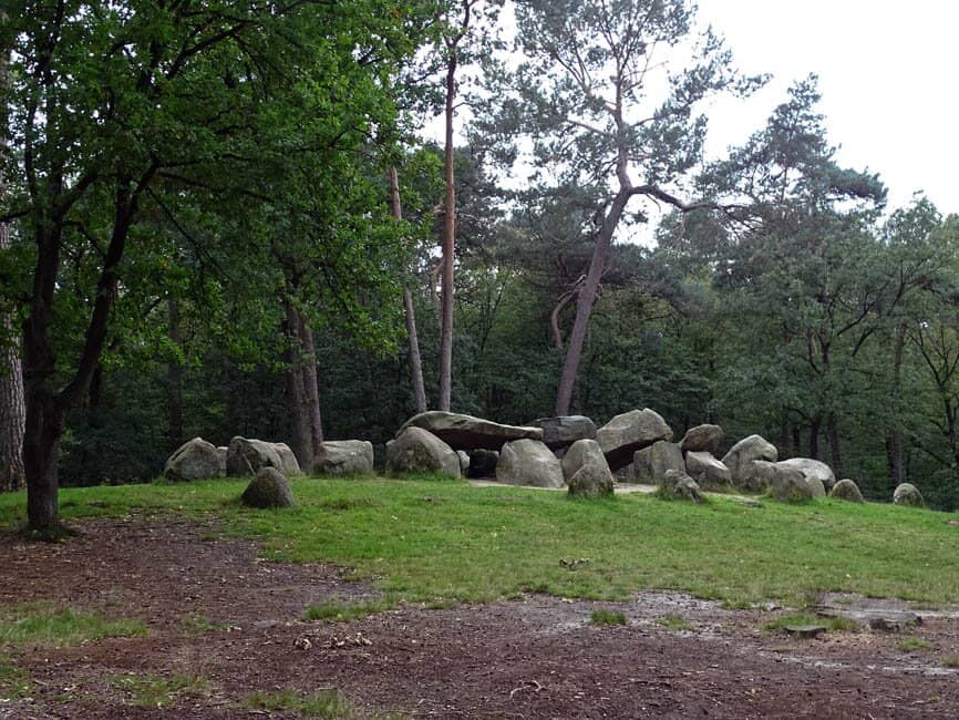Surrounding Forest Trails