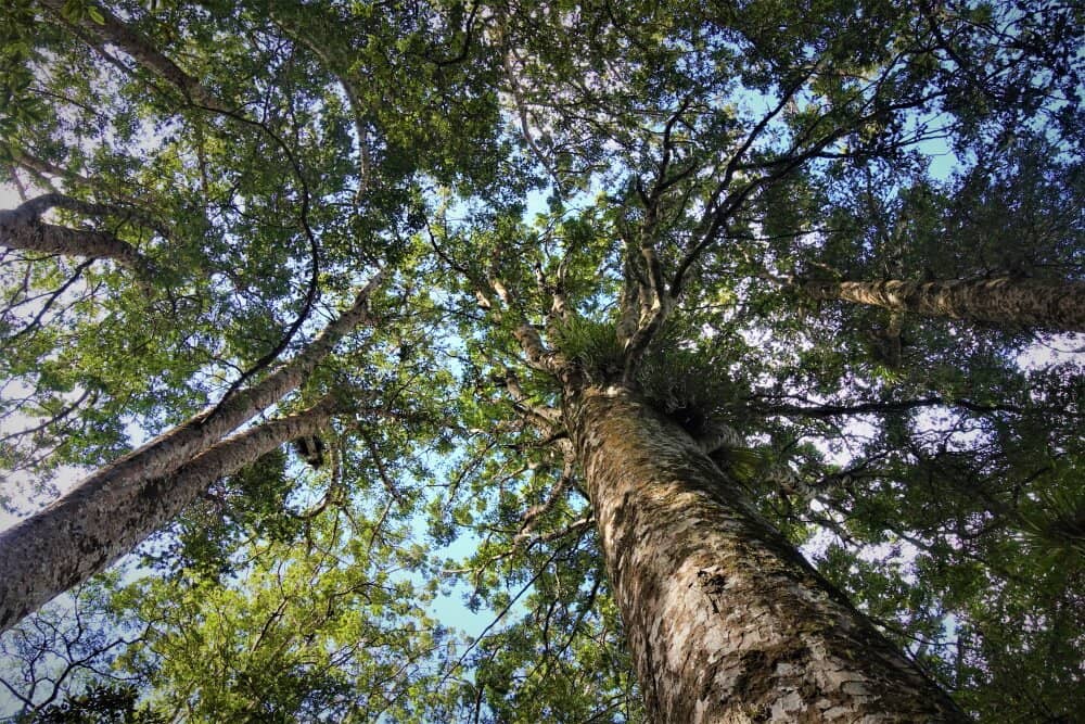 Informative Guided Experience