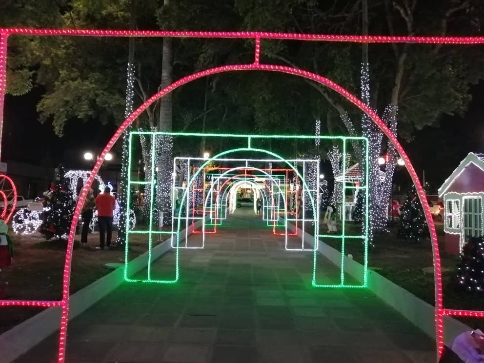 Butterfly Garden Ambiance