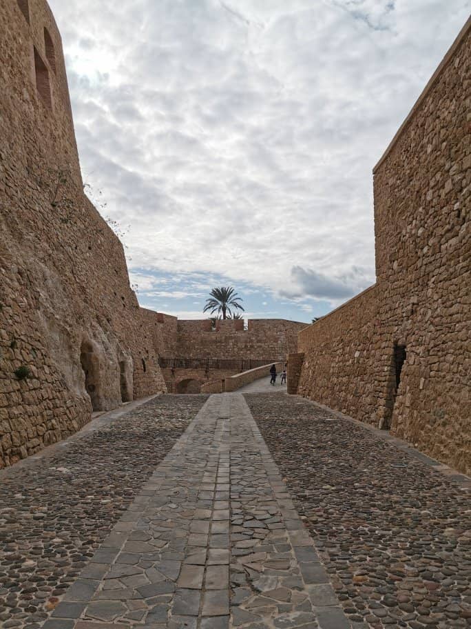 Fortified Enclosures