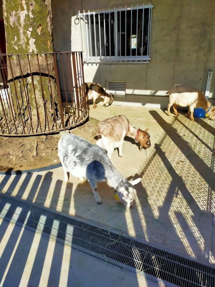 Playground & Splash Pad