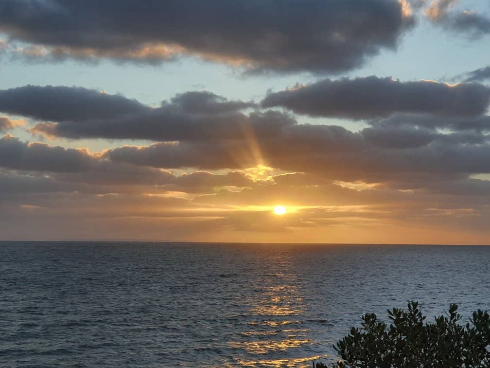 Picnic Point Promenade