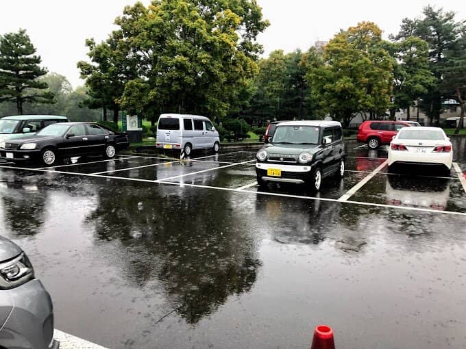 Regional Artist Showcase