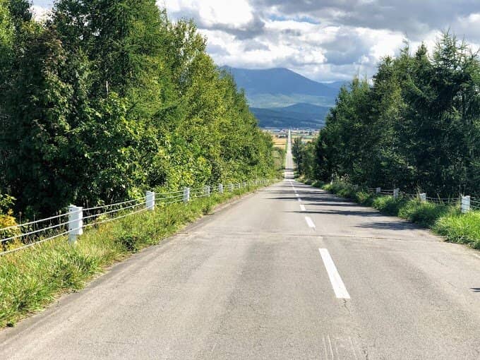 Summer Flower Fields