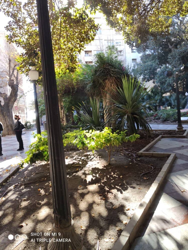 Children's Play Area