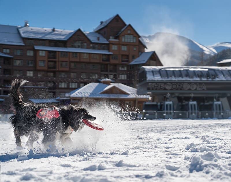 Winter Park Village Gondola