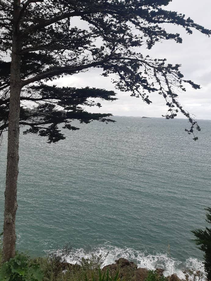 Memorial Tower Views