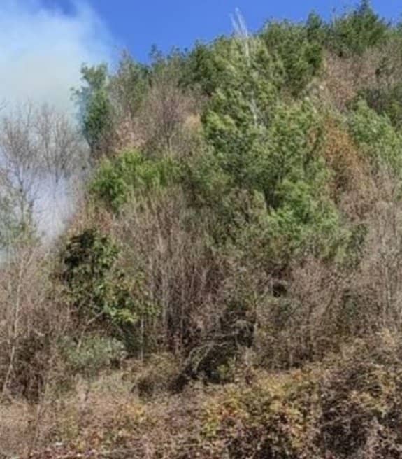 Copperware Creations