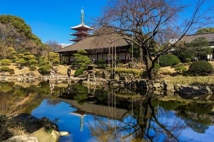 Tranquil Pond Garden