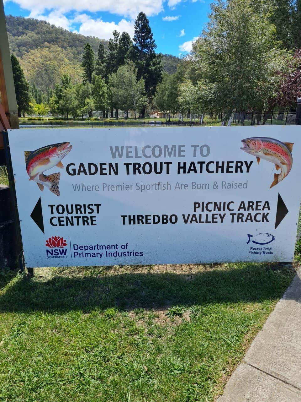 Guided Hatchery Tour