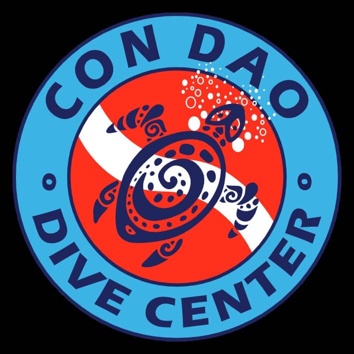 Turtle Conservation Experience