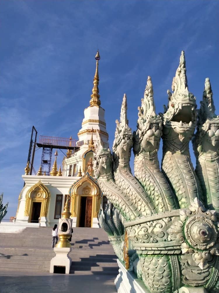 Feeding the Fish and Turtles