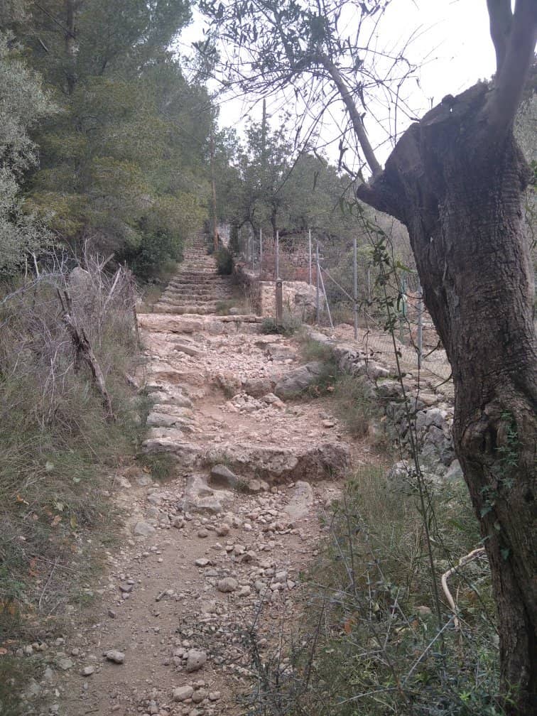 Well-Maintained Garden