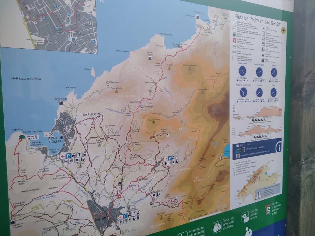 Tranquil Olive Groves