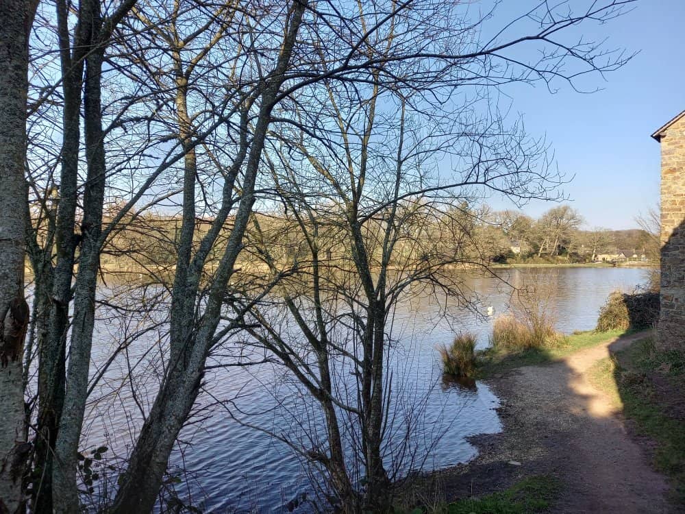 Brocéliande Forest Proximity