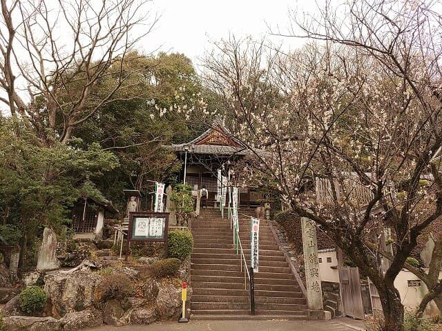 Steam Locomotive Display