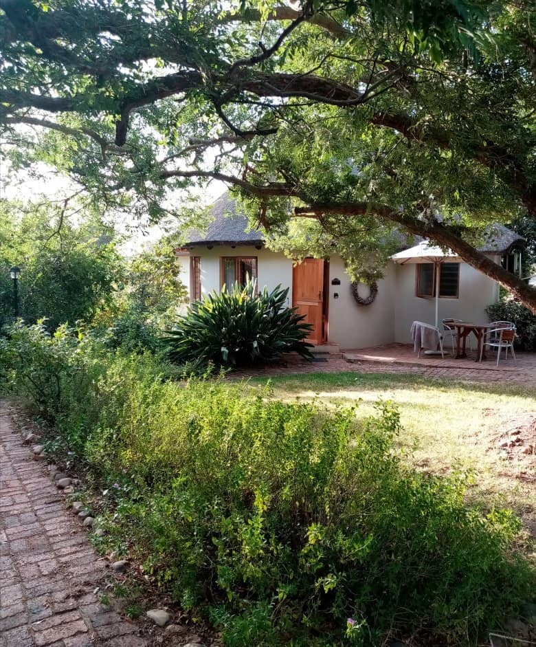 Cozy Tasting Experience