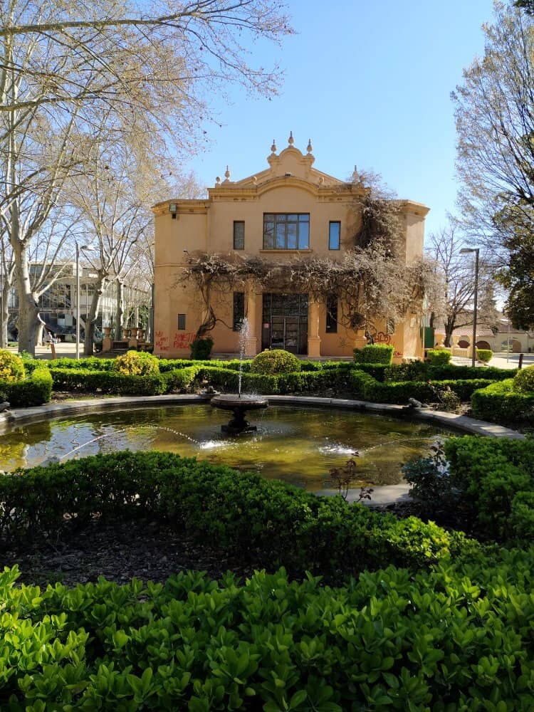 Tree-Lined Boulevard