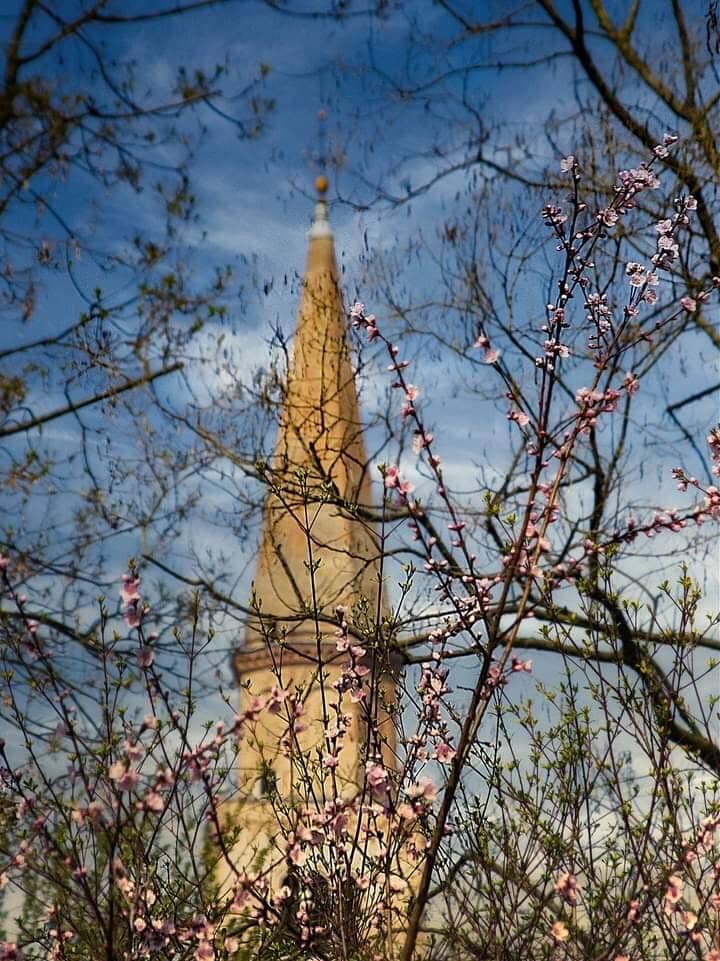 St. Mark's Basilica Domes