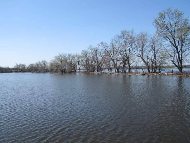 The Mysterious Land Bridge
