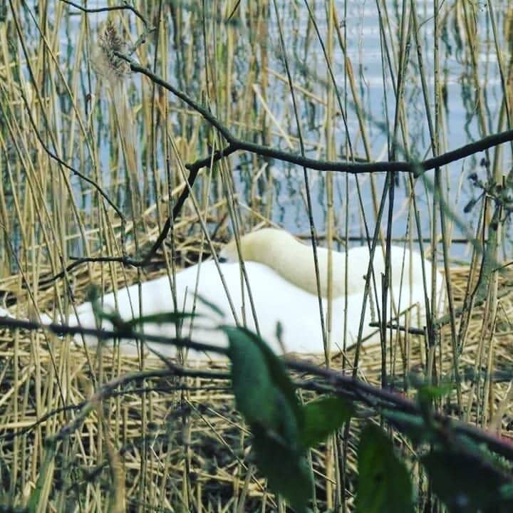 Peaceful Walking Trails