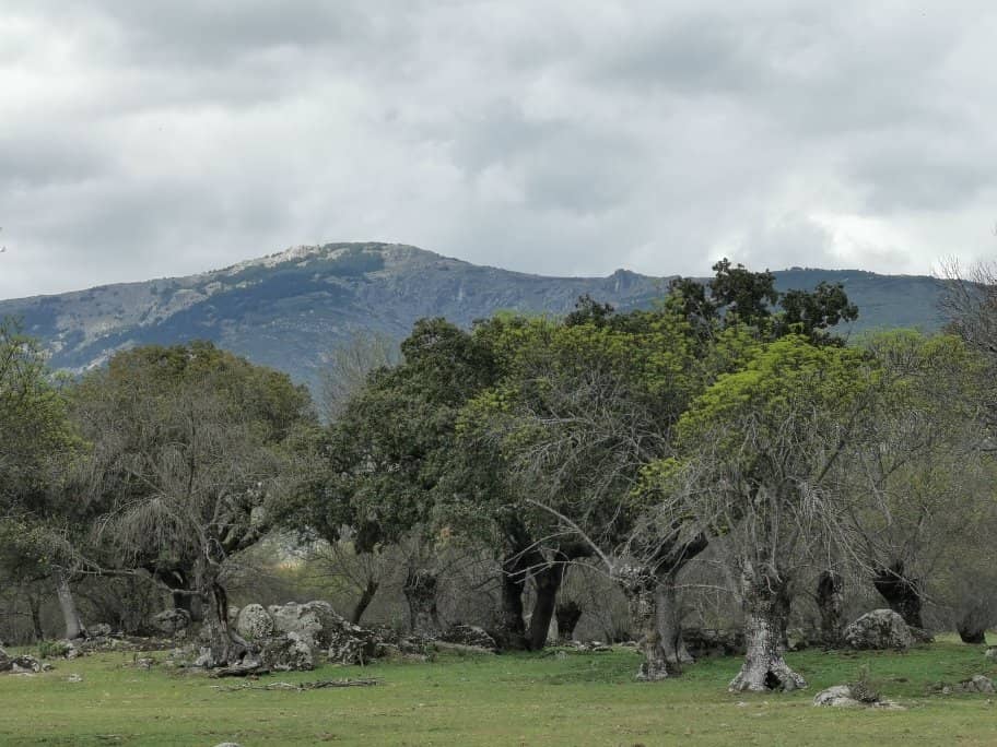 Monastery of San Lorenzo de El Escorial