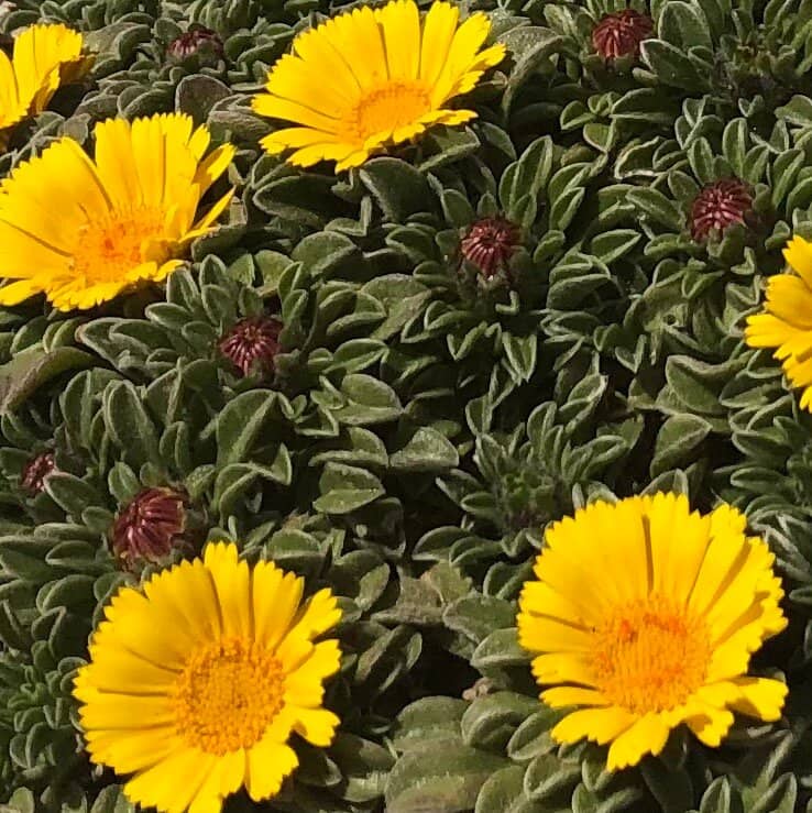 Vibrant Beachfront Vibe