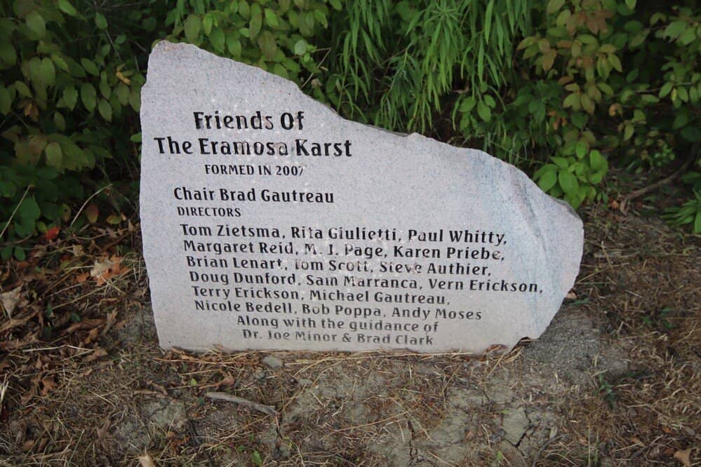 Meadow and Forest Trails