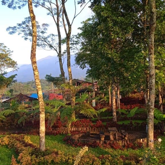 Natural Swimming Pool