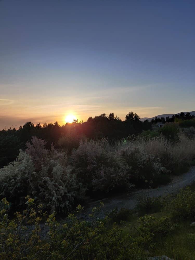 Spacious Green Escape