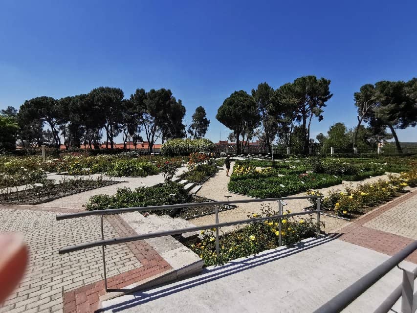 Tranquil Ponds and Fountains