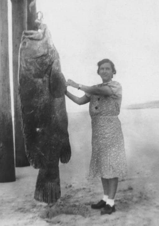 Local Artifacts & Fossils