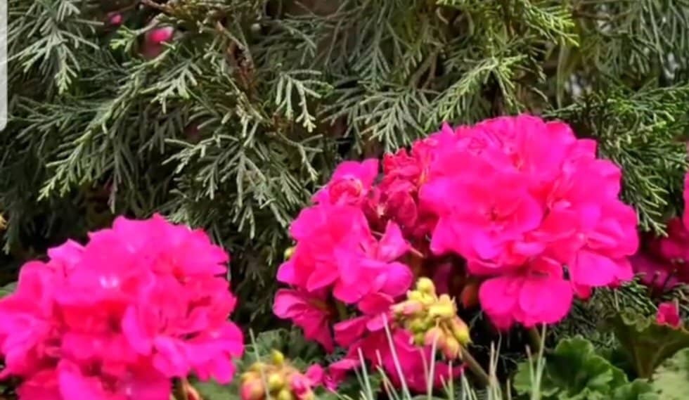 Street Performances & Gatherings