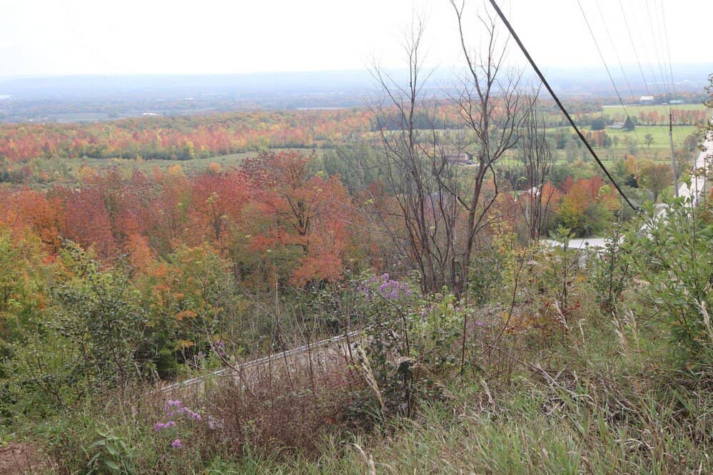 Tranquil Picnic Spot