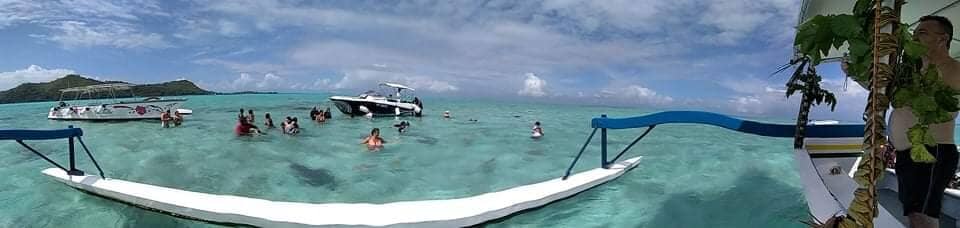 Vibrant Coral Gardens