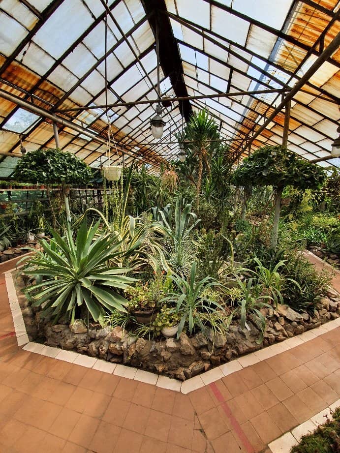 Outdoor Flora Displays