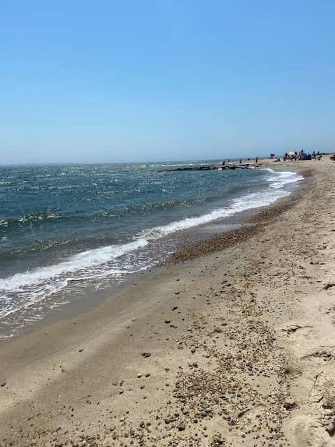 Calm Water Activities