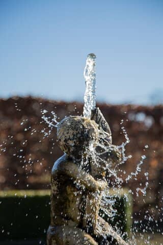 Community Allotments