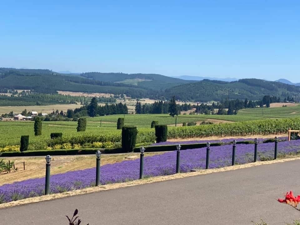 Biodynamic Wine Tasting