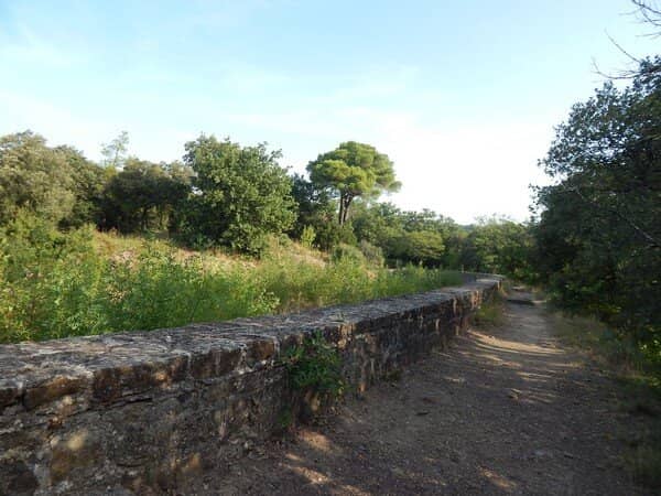 Art Gallery & Craft Shop