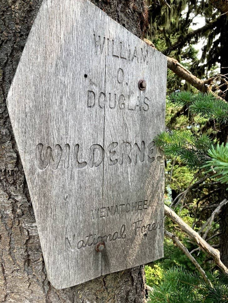 Alpine Wildflower Displays