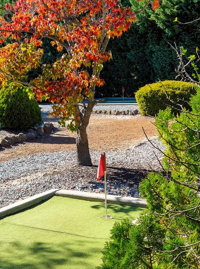 Whimsical Fairy Gardens