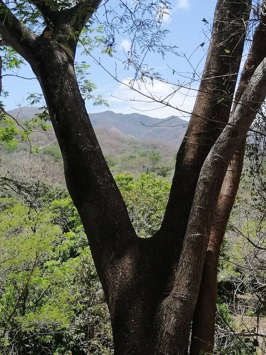 Abundant Wildlife Sightings