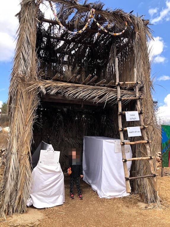 Olive Press Demonstration