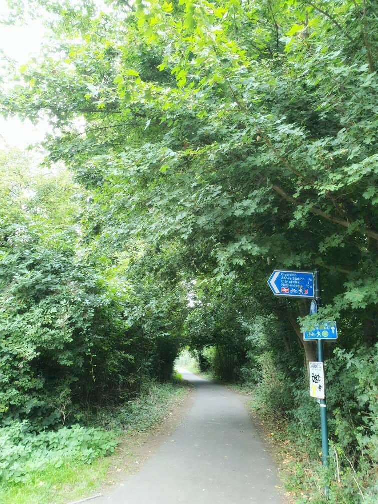 Peaceful Walking Trails