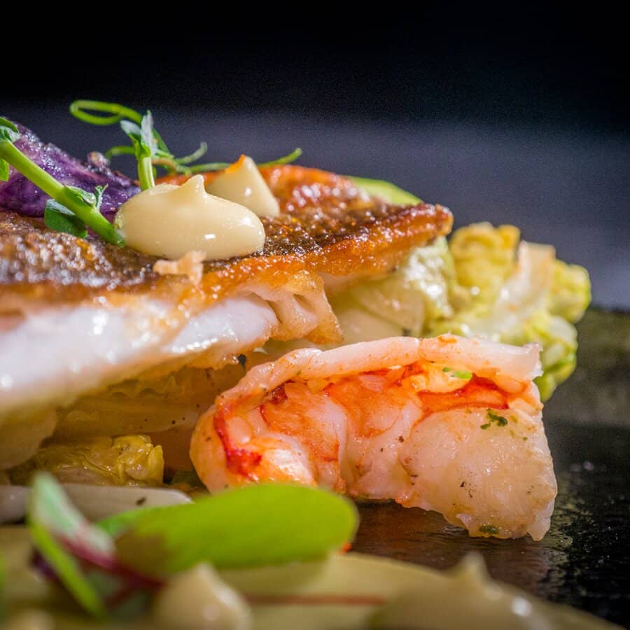 Panoramic City Views