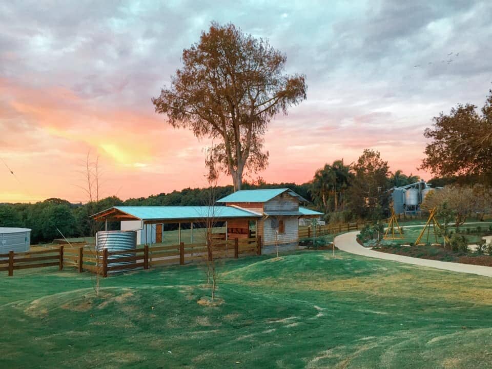 Adopt a Chicken Program