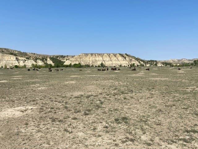 Turtlehead Peak Trail