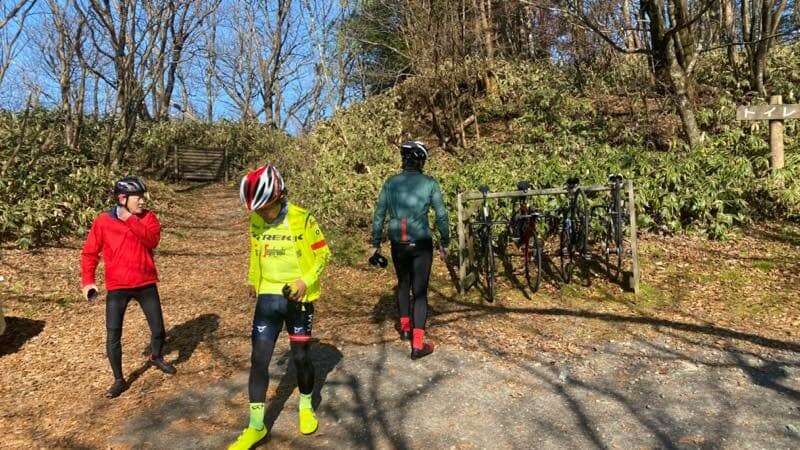 Old-Growth Forest Trails