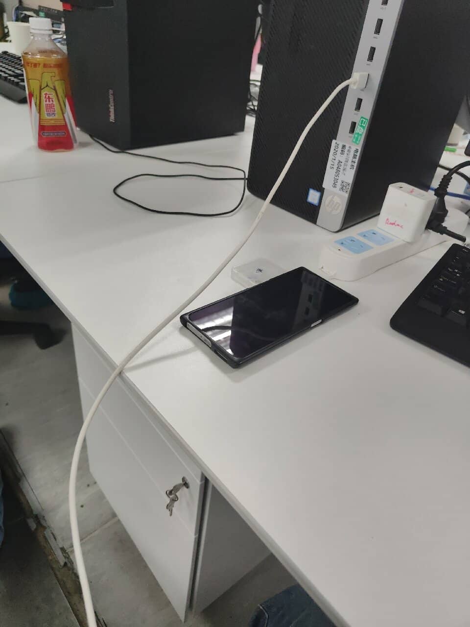 Forest Slide Adventure